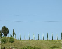 Buonconvento  2015 062